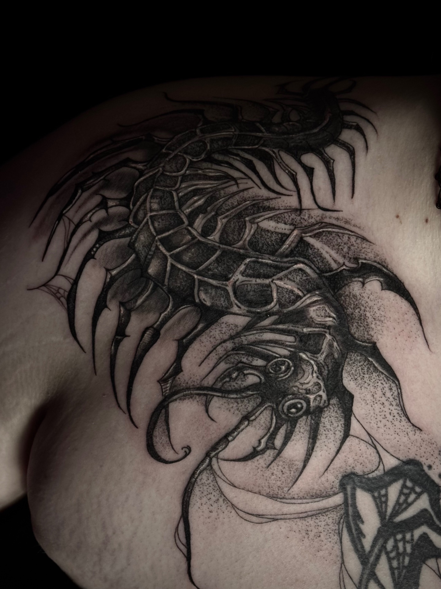 Dark illustrative centipede crawling over the shoulder with stippled shading and fine cobwebs